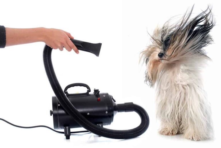 Illustration of Top 10 Mistakes Dog Groomers Must Avoid